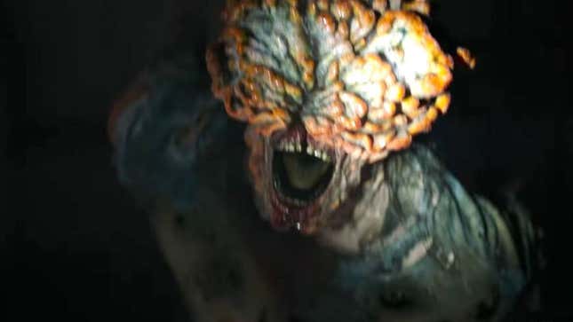Imagen para el artículo titulado El hongo de The Last of Us es real, pero ¿podría llegar a infectar a seres humanos?