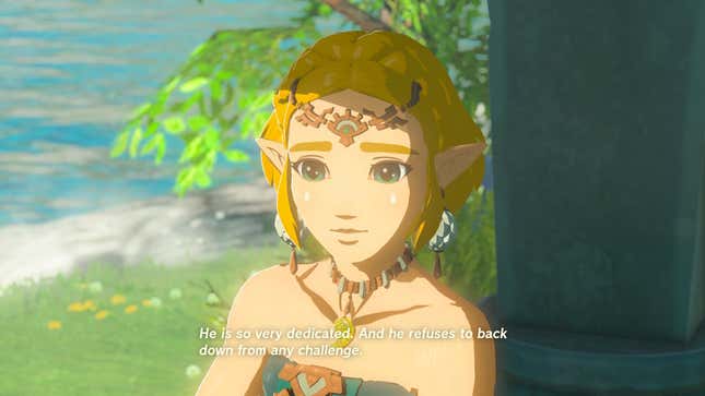 Image for article titled 14 Weird Things Diehard Zelda: Tears of the Kingdom Fans Have To Explain