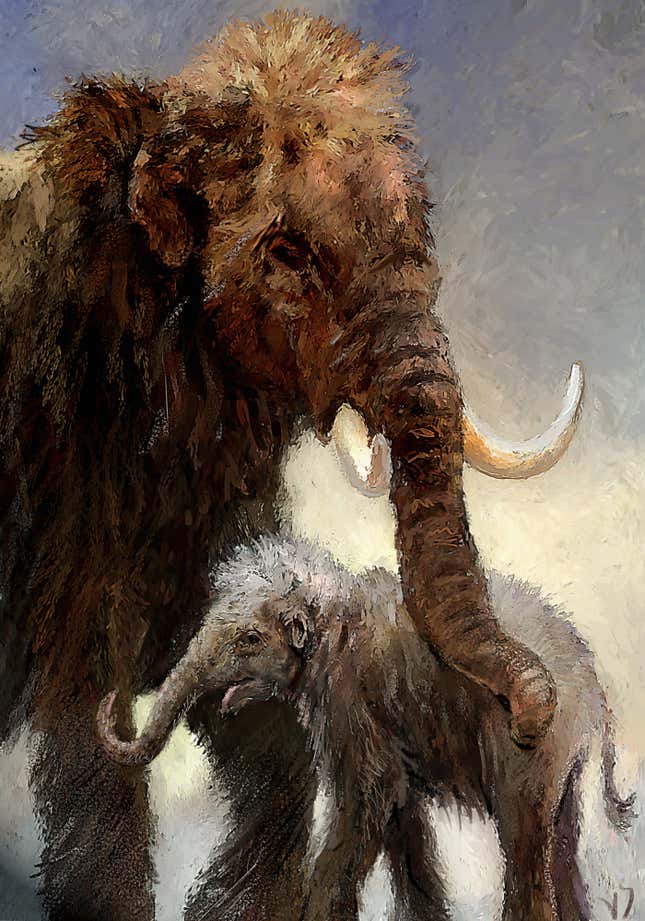 'Gasps' as Scientists Reveal Preserved Baby Woolly Mammoth