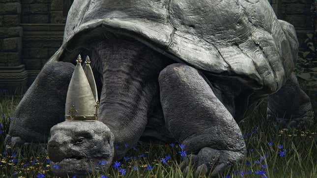 Elden Ring Turtle Pope
