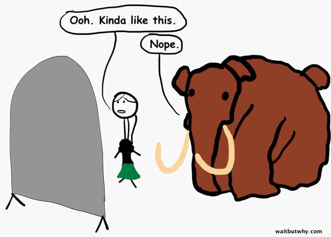 mammoth again insulting outfit