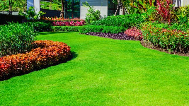 Image for article titled 10 Ways to Grow a Greener, Healthier Lawn