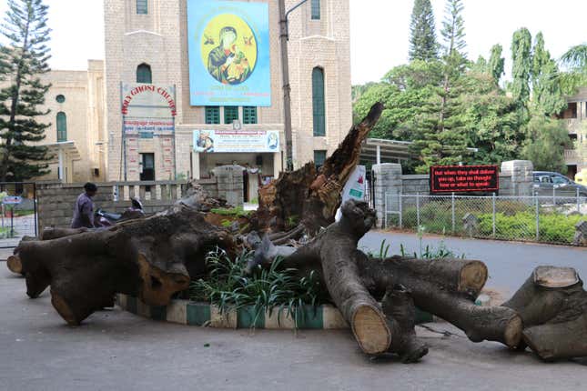 Image for article titled In India’s Silicon Valley, dying trees mirror a beautiful city’s dreadful decline
