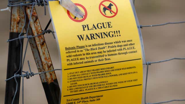 A closed sign is displayed at a parking lot near the Rocky Mountain Arsenal Wildlife Refuge warning of the plague.