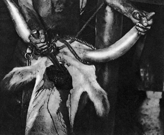 soldier killing animal