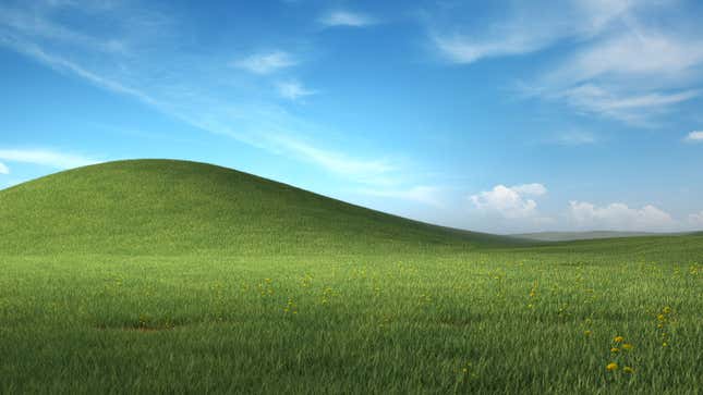 Imagen para el artículo titulado Microsoft relanza el mítico fondo de pantalla de Windows XP, ahora con más flores y detalles