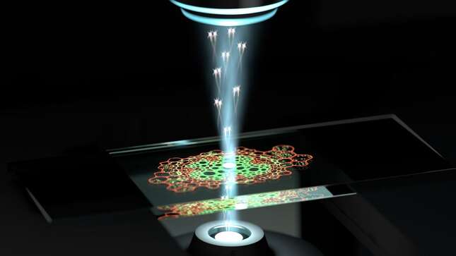 Un nuevo microscopio cuántico nos permite ver las diminutas estructuras de células vivas