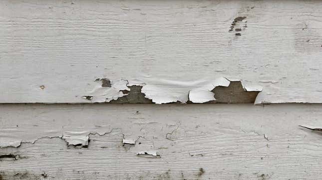 Image for article titled How to Test Your Home for Lead (and When You Should)