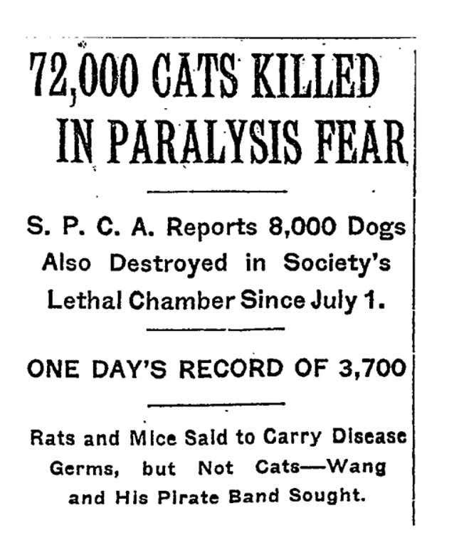 The New York Times, July 26, 1916