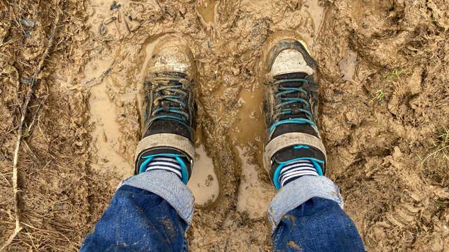 Image for article titled The Best Ways to Salvage Your Muddy Sneakers