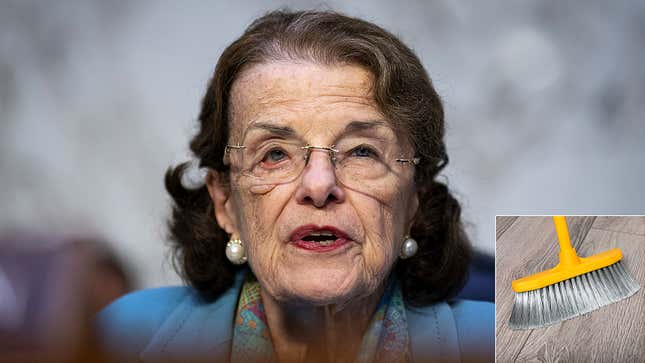 Image for article titled Sen. Feinstein Cedes Power of Attorney To Broom Resembling Daughter