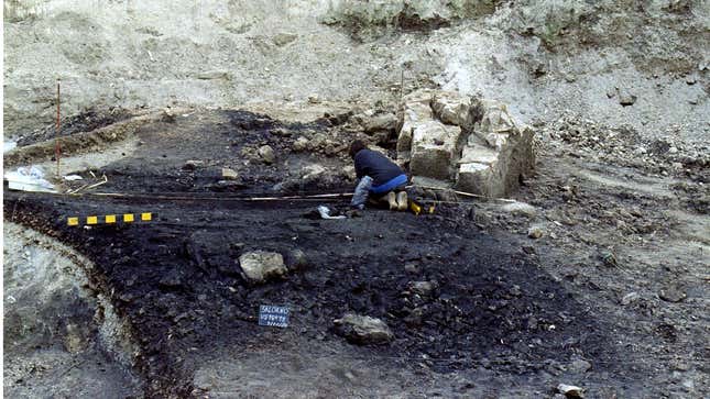 A woman digs on an archaeological site in Italy.