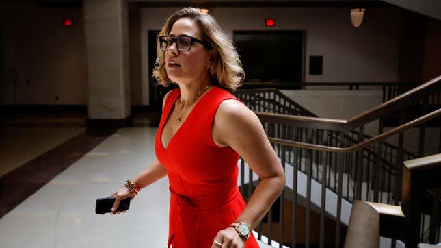 Image for article titled Kyrsten Sinema Has a Net Favorability of -23, Per New Statewide Poll