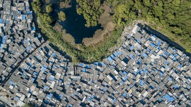 Dharavi and the Mahim Nature Park, one of the city’s few green lungs.