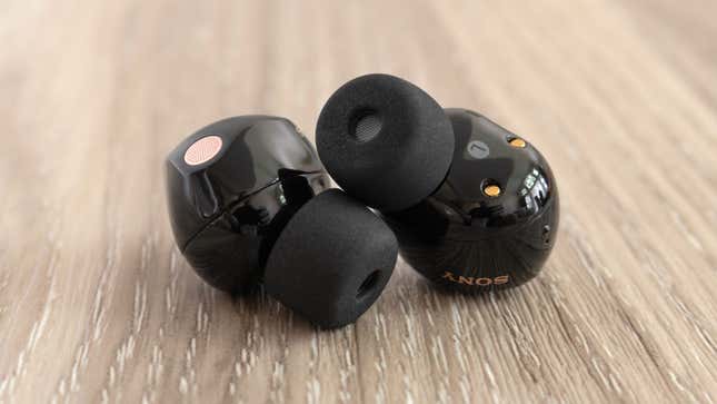A close-up of the Sony WF-1000XM5 wireless earbuds featuring soft memory foam eartips attached.