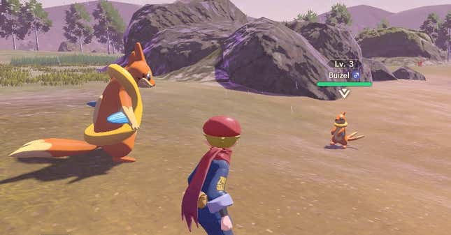A Buizel fights its evolved form out in the Heartlands. 