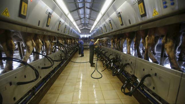 Industrial dairy facility.