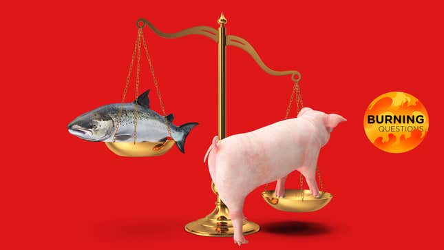 A photo illustration of a set of scales with a pig on one side and fish on the other.