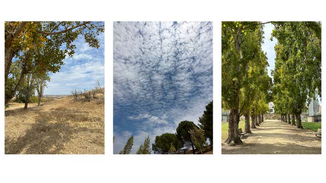 An image showing three test images from the iPhone 13 Pro Max