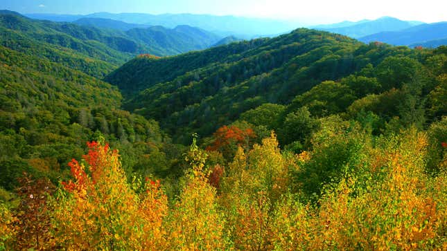 Image for article titled 10 of the Most Stunning Places to See Fall Foliage in the US