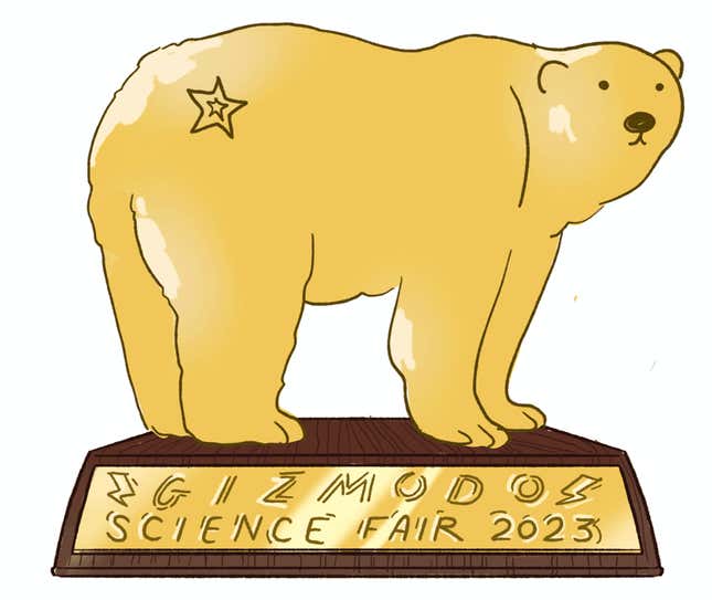 Image for article titled A Better Way to Track Polar Bears: Stick a Burr in Their Fur