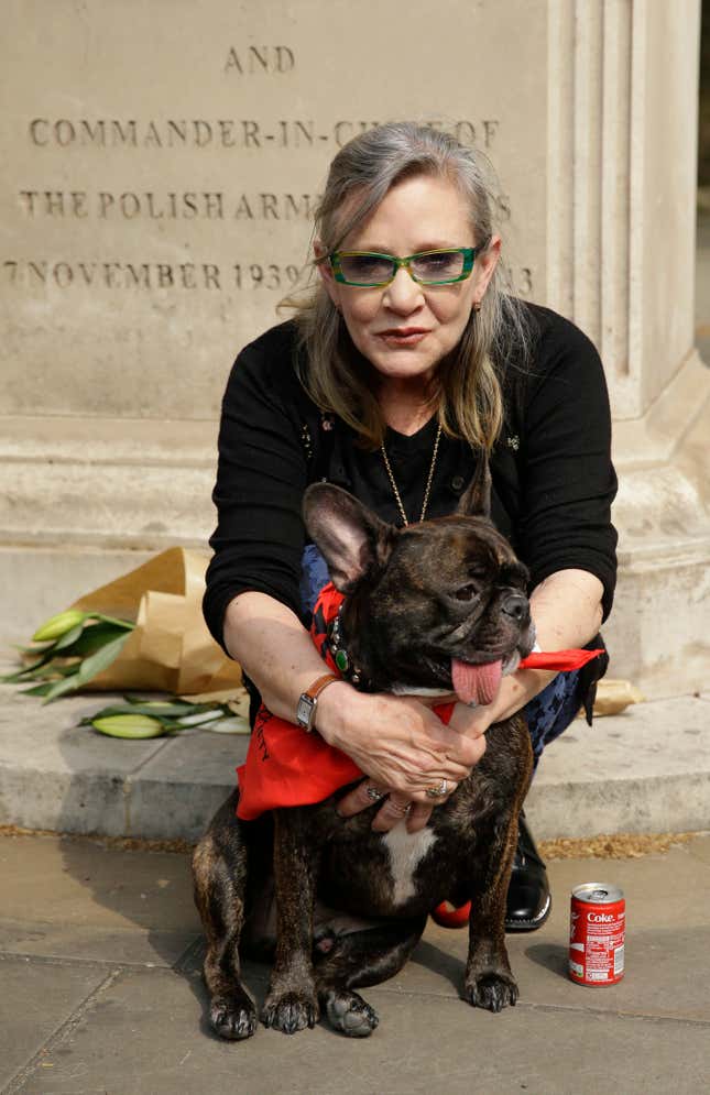 Fisher at the protest against China’s Yulin dog meat festival in London in June.