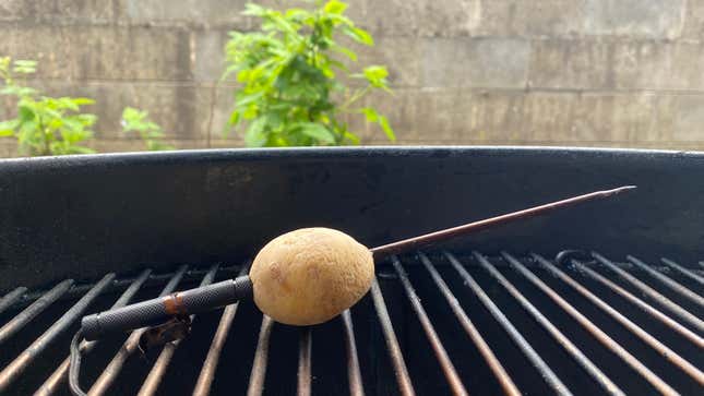 Image for article titled Your Grilling Thermometer Needs a Potato
