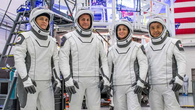 The four members of the SpaceX Crew-5 mission pose for a portrait in their Crew Dragon flight suits at SpaceX headquarters in Hawthorne, California. 
