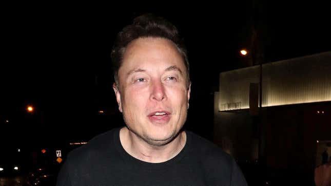 A picture of Elon Musk.