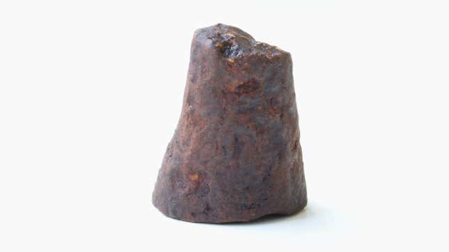 The 3D-printed synthetic rhino horn.