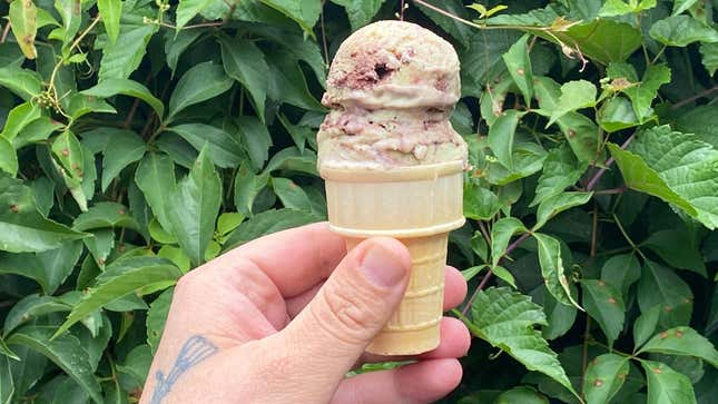 Hand holding ice cream cone full of Spumoni against greenery background
