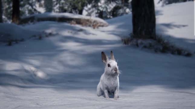 A white rabbit is seen standing in a snowy field with trees behind it.
