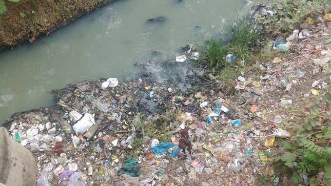 Vishwamitri river, near Vadodara in Gujarat.