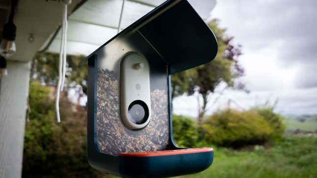 A photo of the Bird Buddy