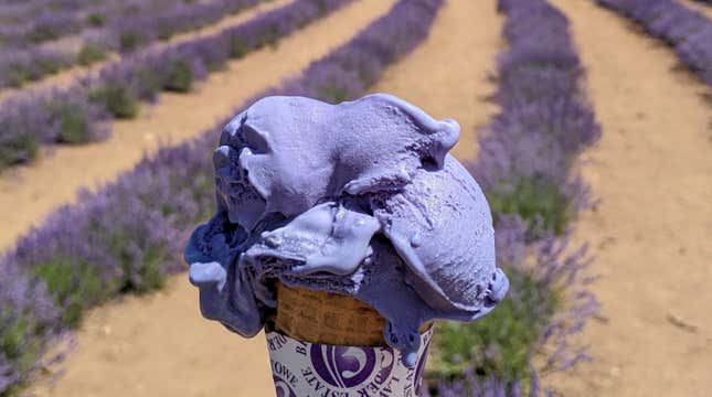 A user on Reddit posted about the ice cream they made from lavender at a real lavender field.