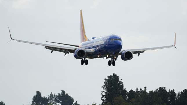 Image for article titled Man Finds Out the Hard Way That There Are Limits to Southwest's 'Sit Wherever You Want' Policy