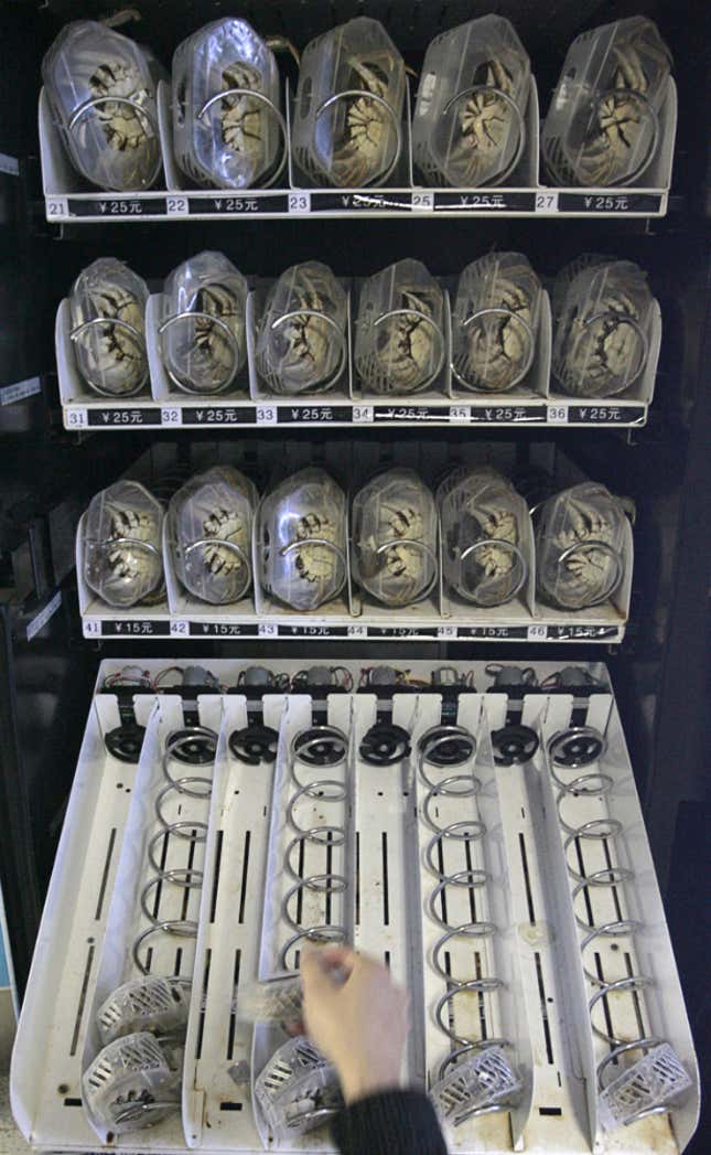 An employee loads packages containing live hairy crabs into a vending machine at a main subway station in Nanjing, Jiangsu province December 17, 2010. The crab dispenser was designed by Shi Tuanjie, Chairman of the Nanjing Shuanghu Crab Industrial Company, who came out with the idea of a crab dispenser 3 years ago. This is the first live crab vending machine in China, and was installed on October 1 this year. The crabs cost from 10 yuan (US$1.50) to 50 yuan (US$7.50), depending on size and gender, and customers are promised a compensation of 3 live crabs if their purchase is dead. The machine sells an average of 200 live crabs daily. Shi plans to popularize the machines on a larger scale to airports, residential areas and supermarkets, according to local media. REUTERS/Sean Yong