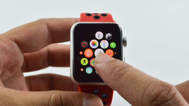 An Apple Watch displaying the app screen