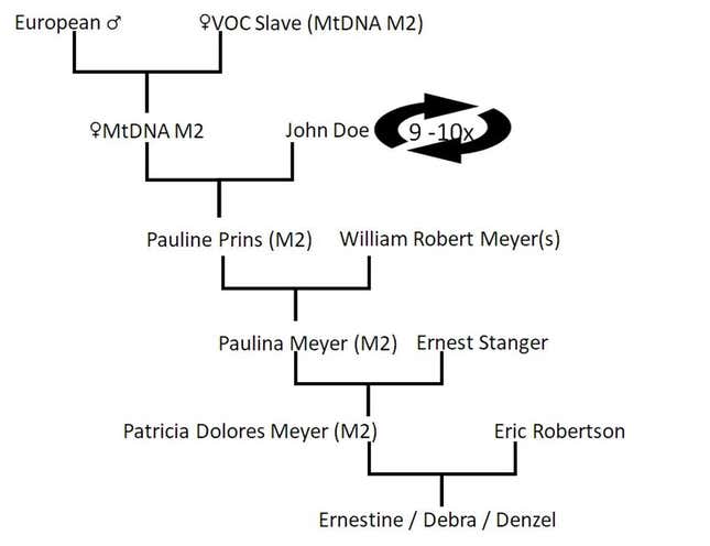 A possible maternal heritage chart with starting point circa 1660, presupposing 9-10 family cycles until the birth of my great grandmother in 1904, provided the ages of the females when giving birth were between 24-25 years of age. Based on family records, John Doe could have been European/ Khoi-San/ Slave/Coloured. Debra Meyer