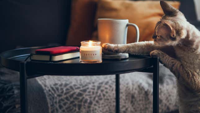 A short-haired gray tiger cat reaches a paw out towards a lit candle that's sitting on a round black end table. There's also a gray mug, a black notebook, and a phone in a red case on the table.