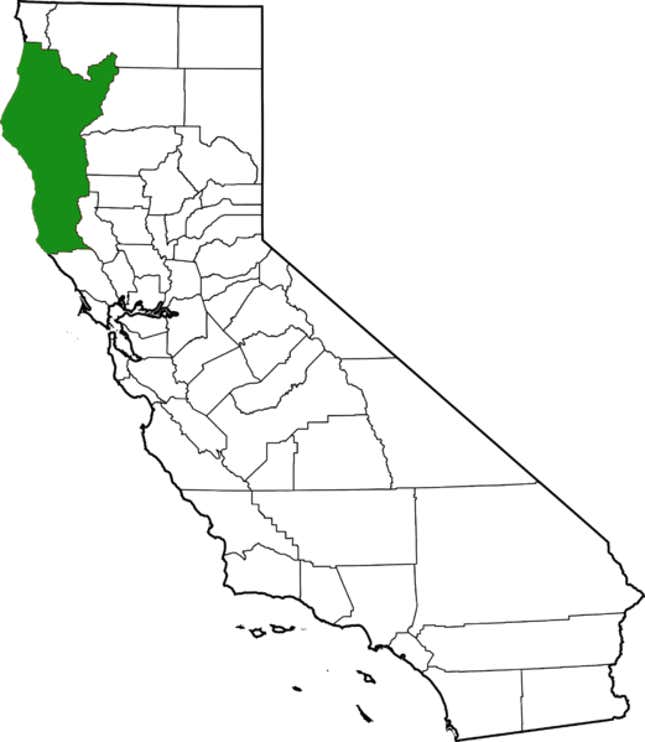 The Emerald Triangle: Humboldt, Mendocino and Trinity counties. Nearby Lake and Butte counties are also popular grow sites.