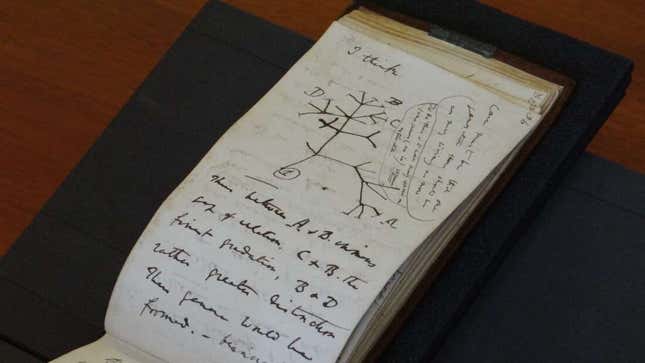 Imagen para el artículo titulado Alguien ha devuelto los cuadernos robados de Charles Darwin valorados en millones