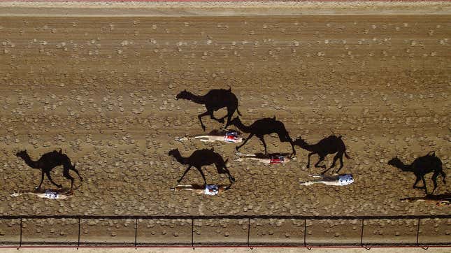 Al Marmoun vertical race track in Dubai, UAE.