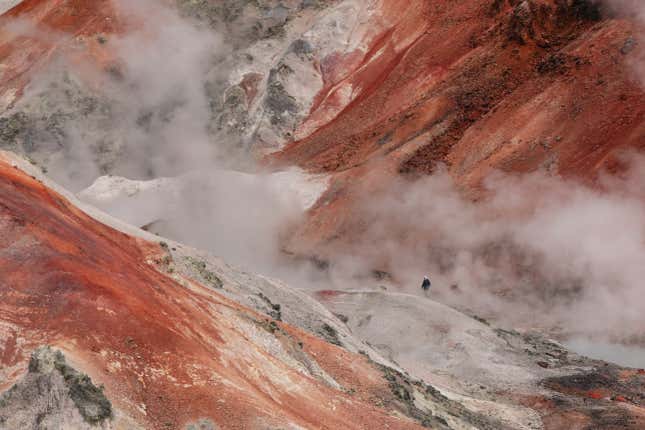 Image for article titled Epic and intimate glimpses of nature from the Sony World Photography Awards