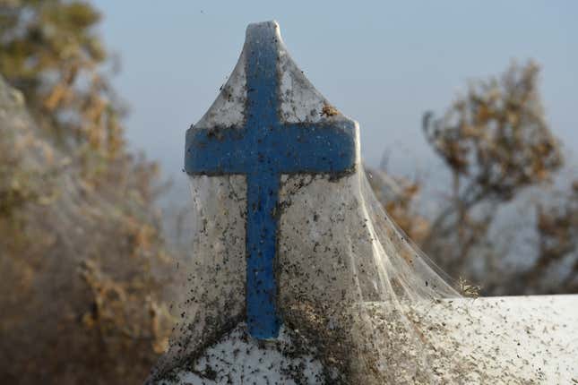A roadside religious shrine wasn’t immune.
