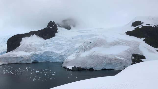 A glacier reaches the sea on the western Antarctic Peninsula, near Brown Station.