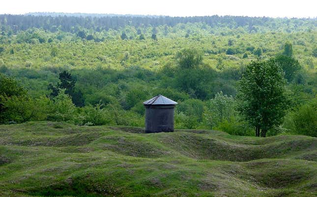 Verdun Forest today