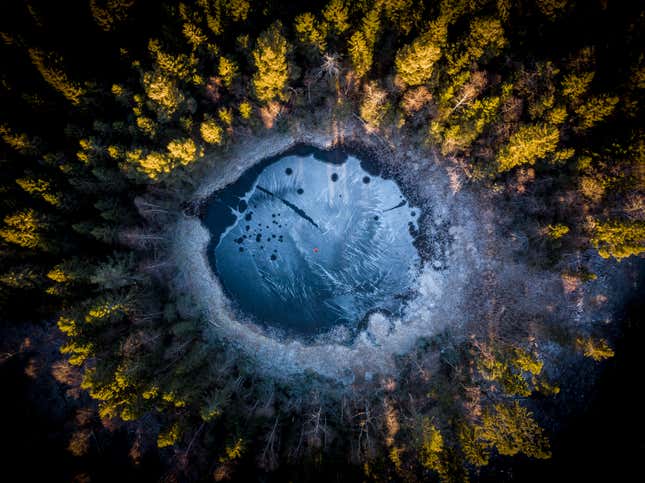 Image for article titled Epic and intimate glimpses of nature from the Sony World Photography Awards