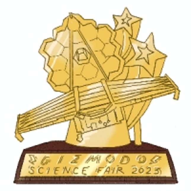 Image for article titled The Winners of the 2023 Gizmodo Science Fair