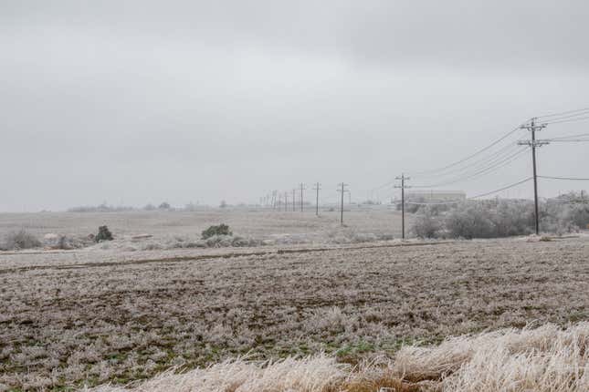 A frozen open field is seen on February 01, 2023 in Austin, Texas. A winter storm is sweeping across portions of Texas, causing massive power outages and disruptions of highways and roads.